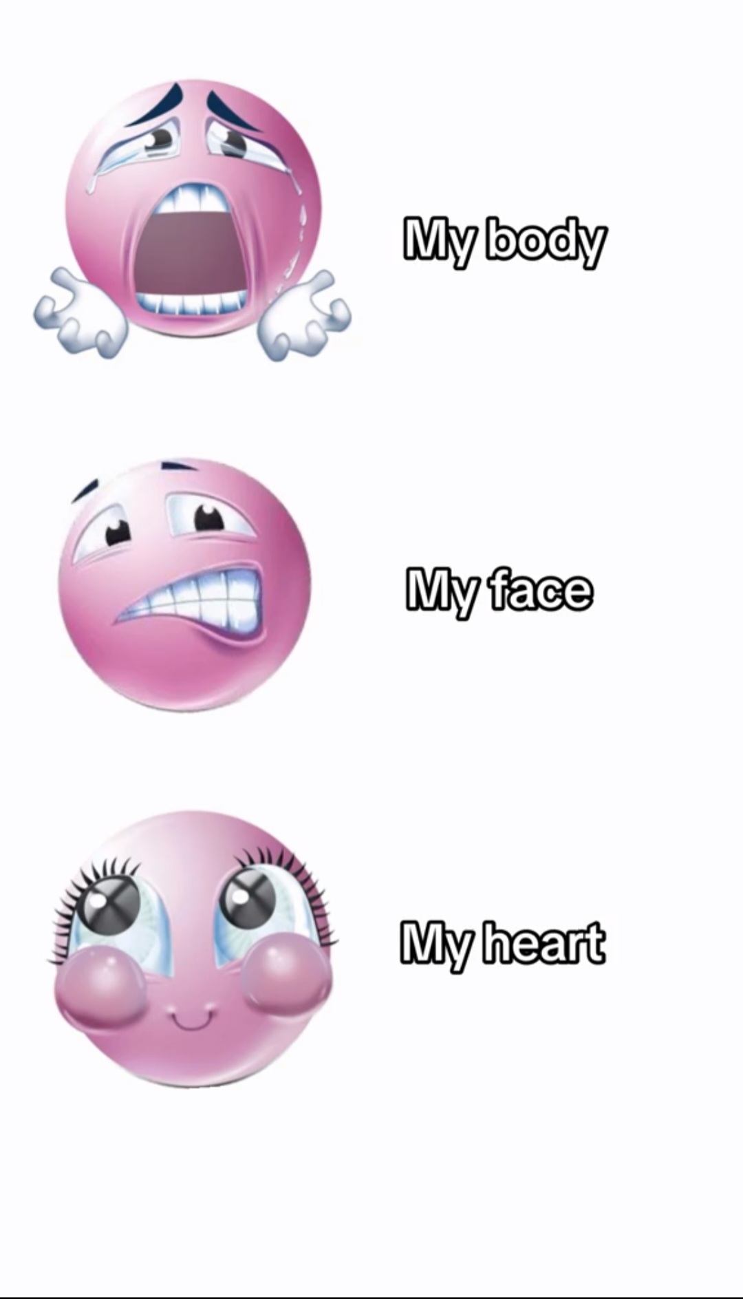 @meital