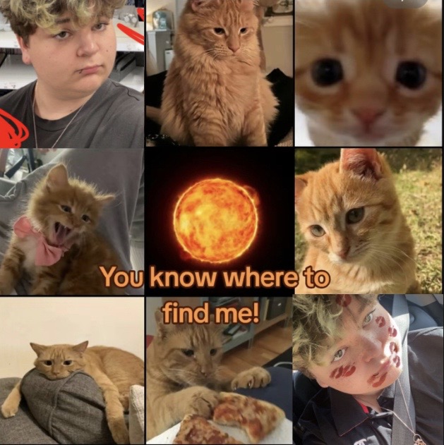 @🧌🍉