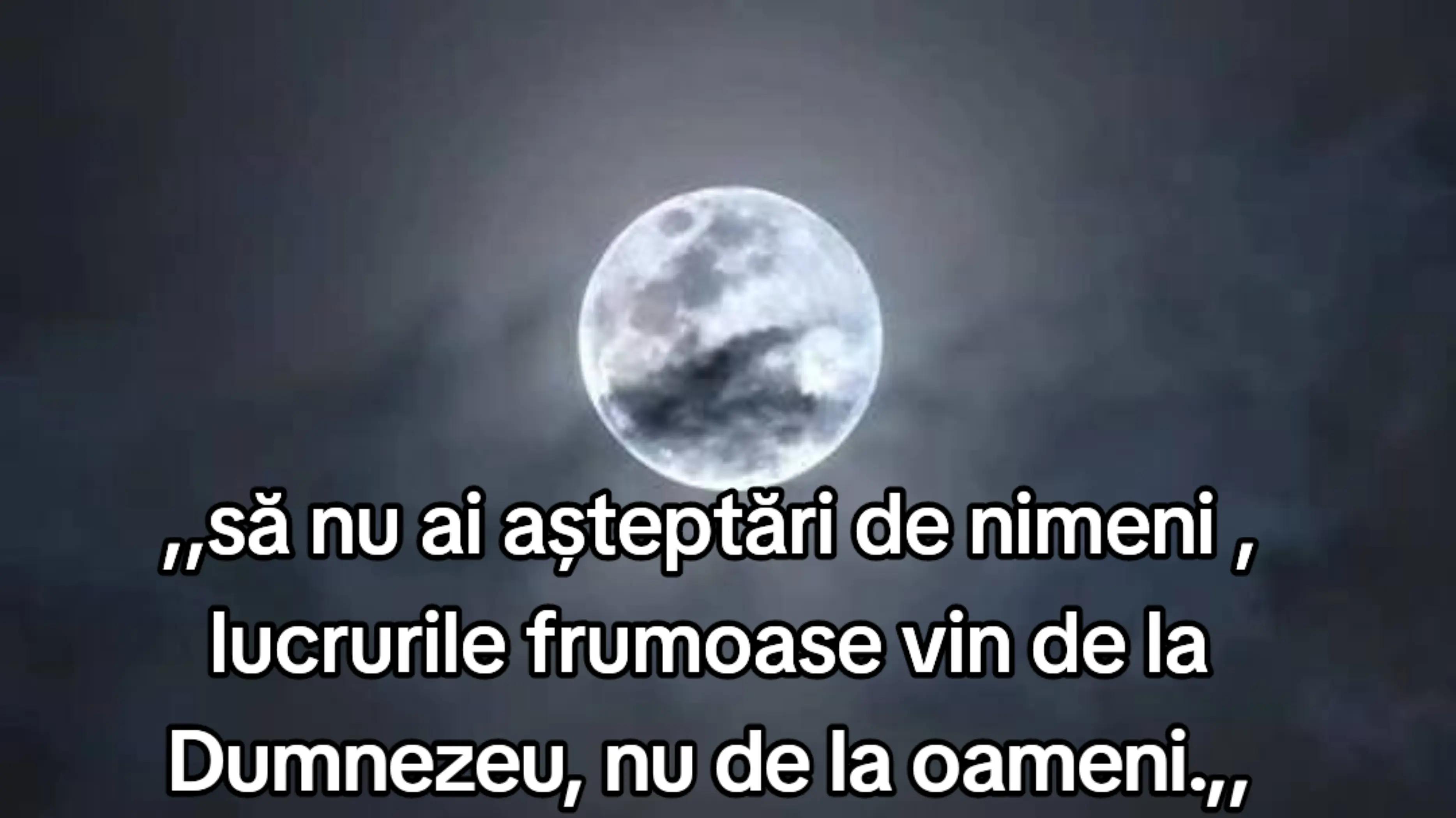 @Marian Marin