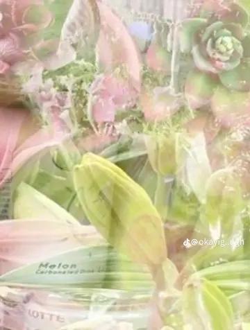 @M6T30XD #1 Flower yumeshiper🌸
