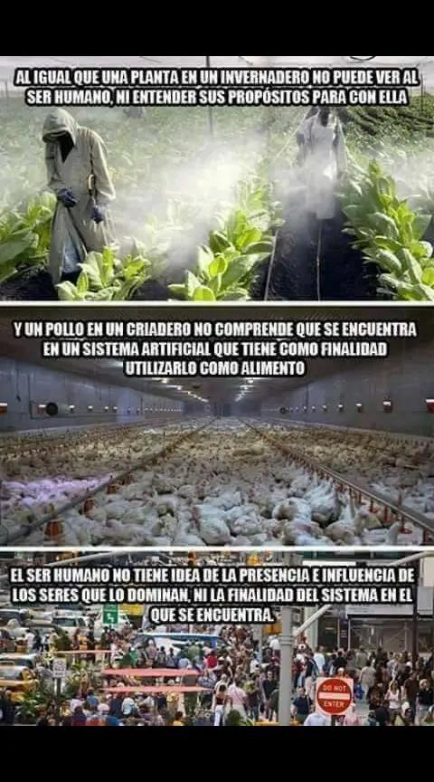 @despierta tu conciencia