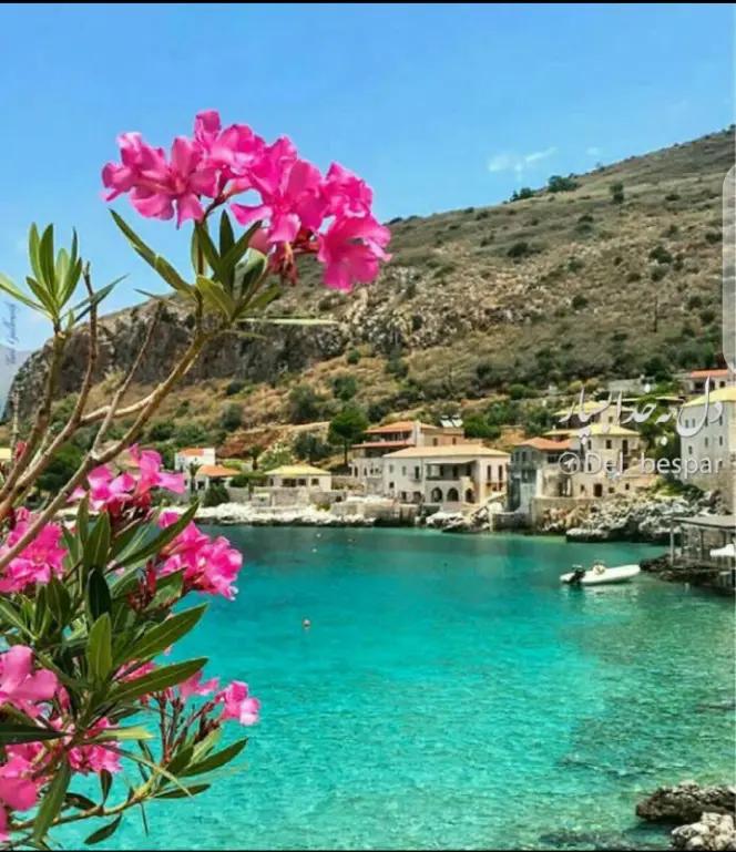 @ریس راهیلو بی بروا