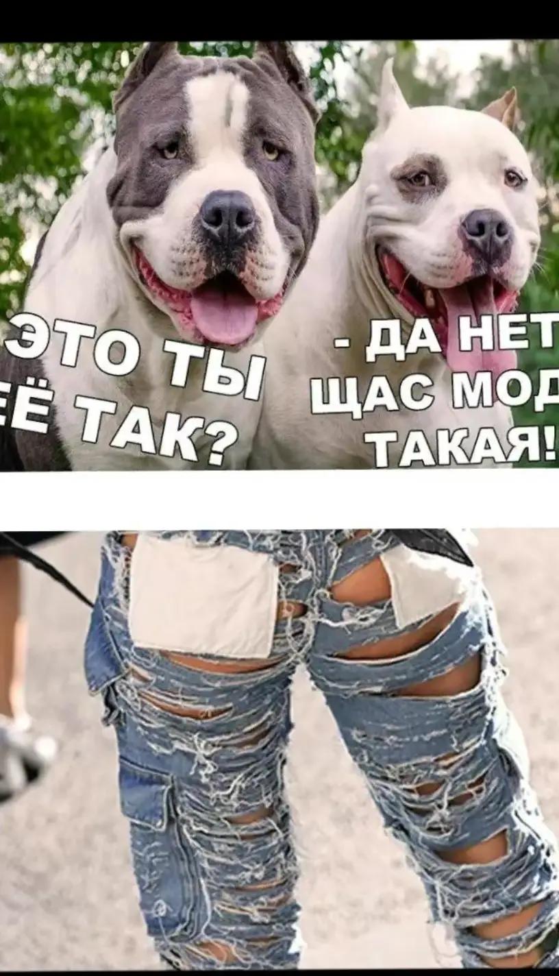 @Pro100 Serega