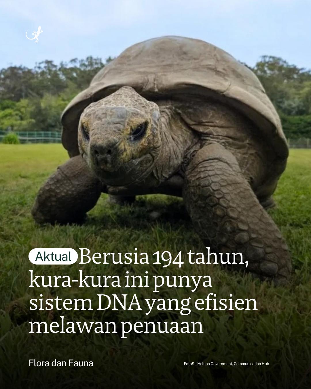 @mongabayindonesia