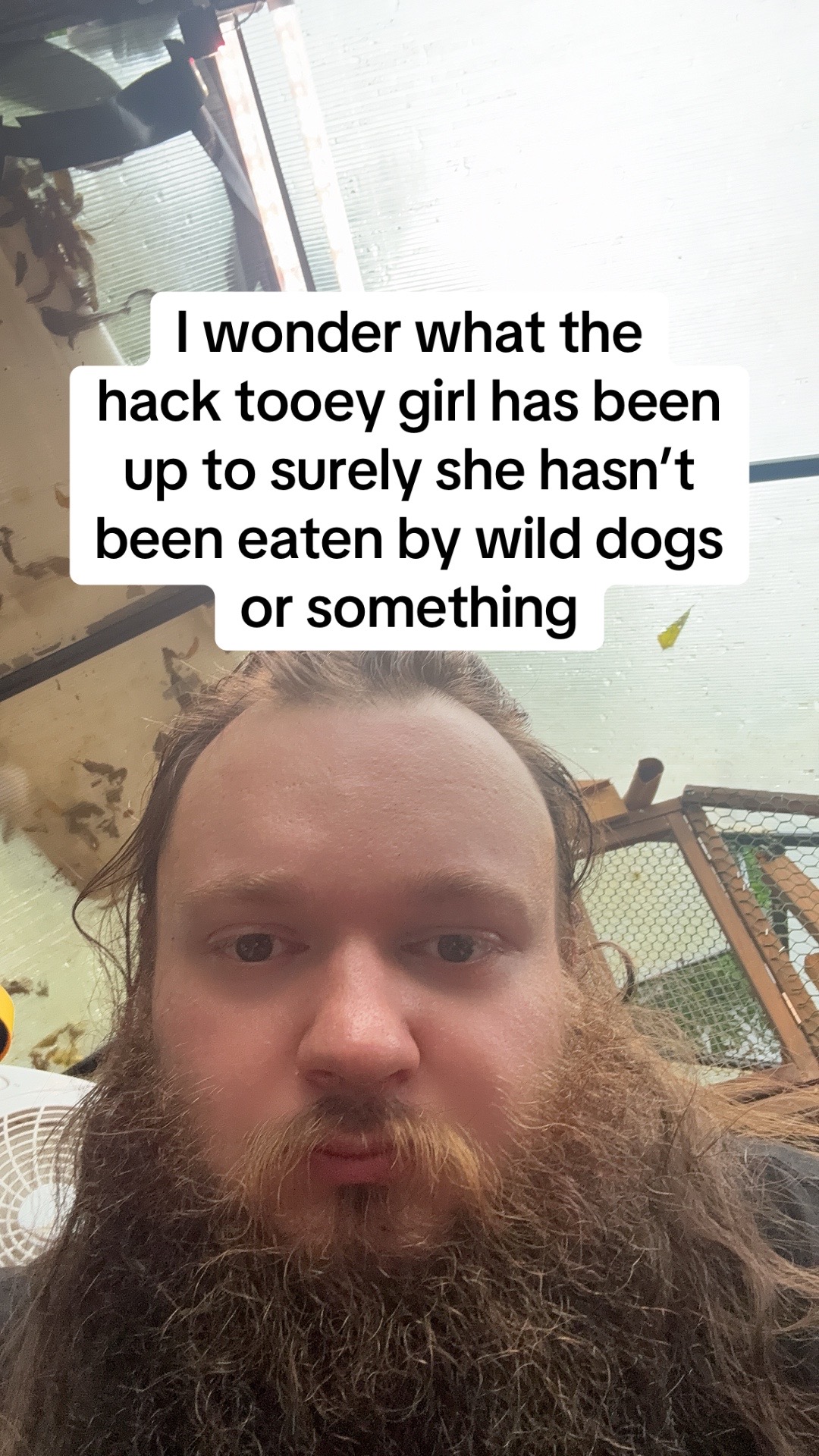 @Dreamtwist