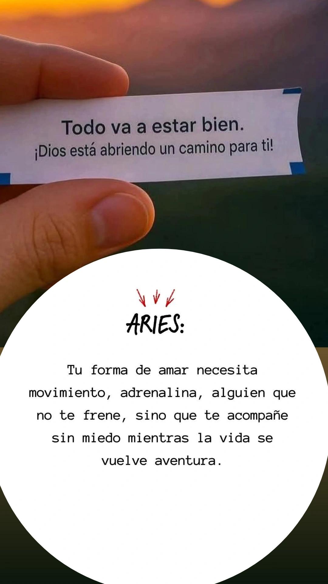 @🌻𝙎𝙊𝙇𝘼𝙉𝙂𝙀 𝗧𝗔𝗧&Iacute;𝗡 𝗟