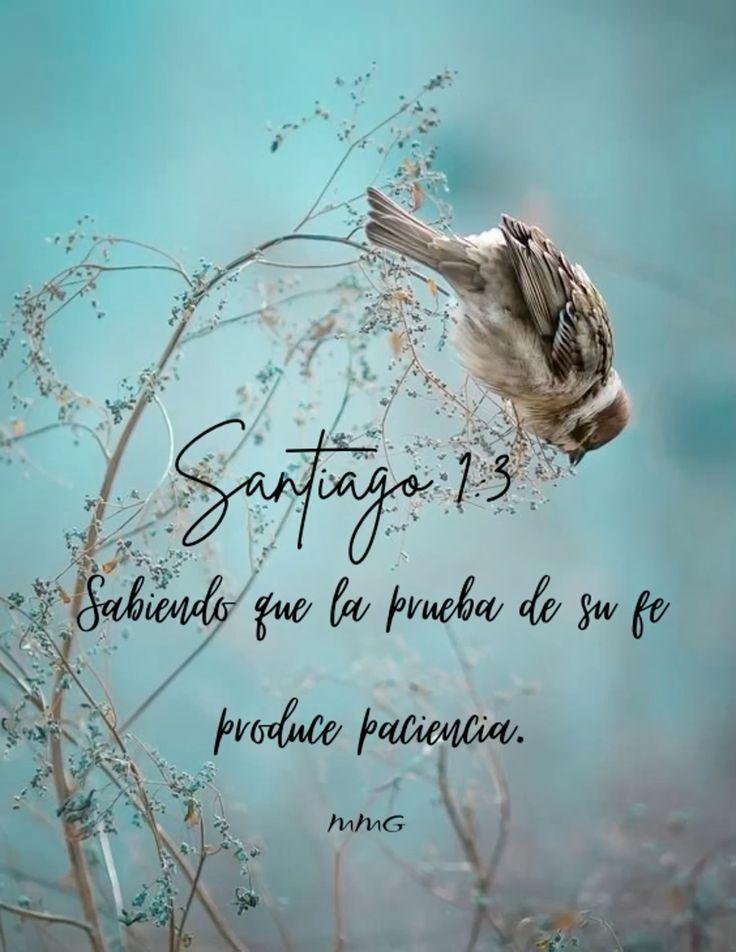 @Ingrid Moreno