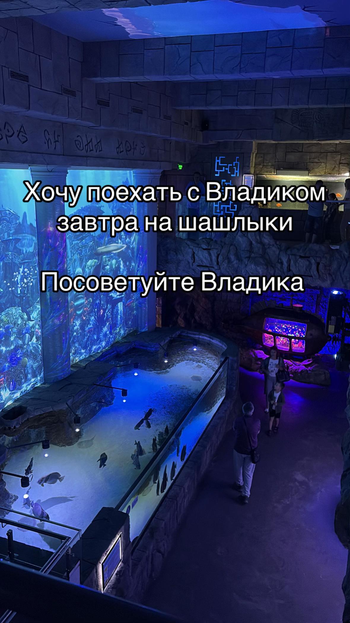 @🎀Королева Владиков🎀