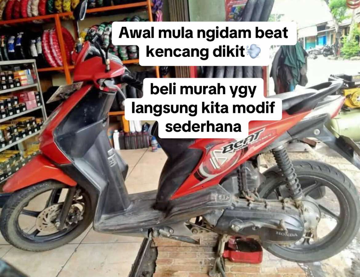 @ABEARINDO