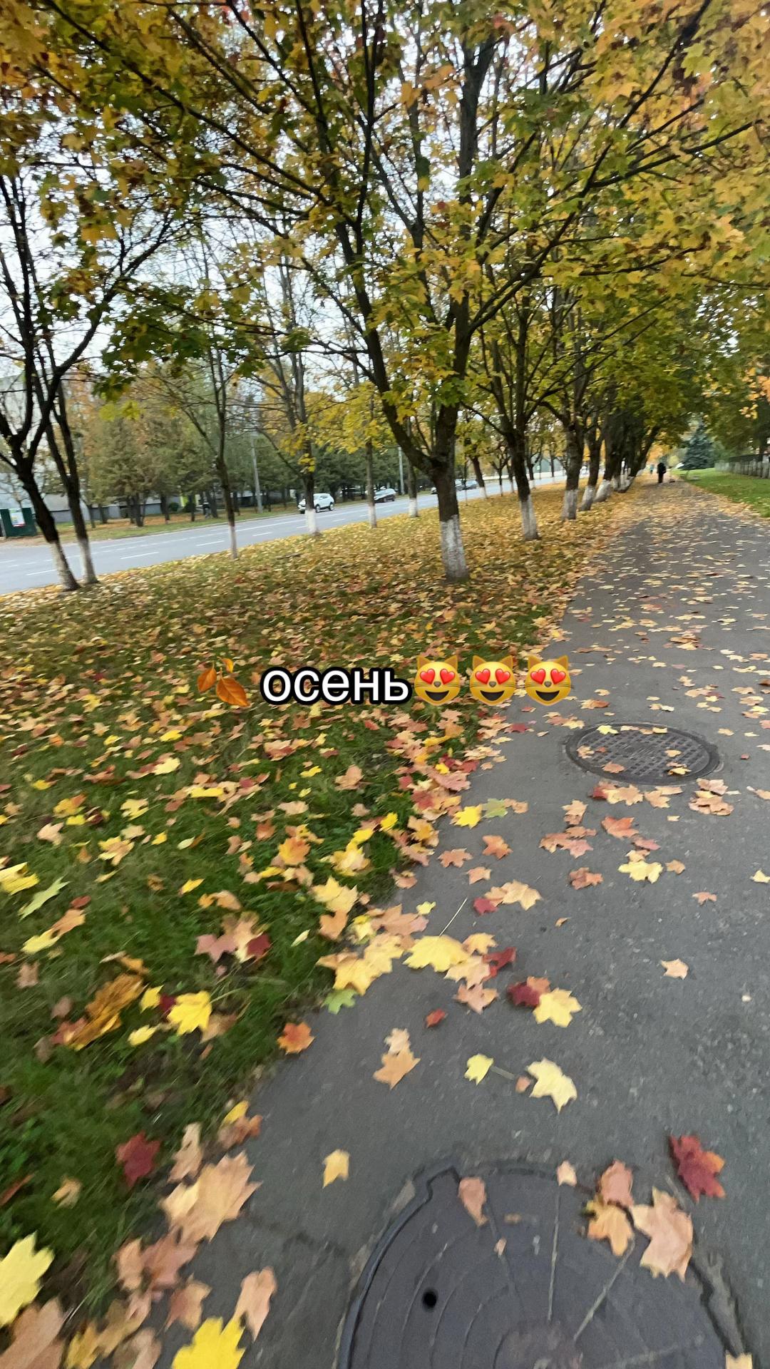 @🦢Sonia о бьюти🪽