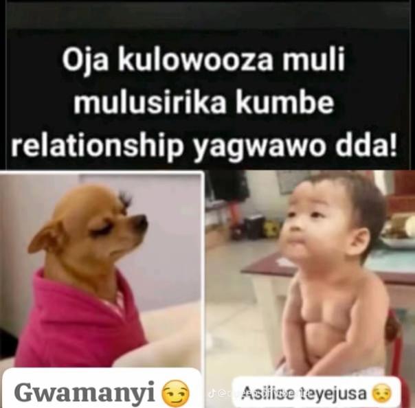 @Jojo256🥷💚💚