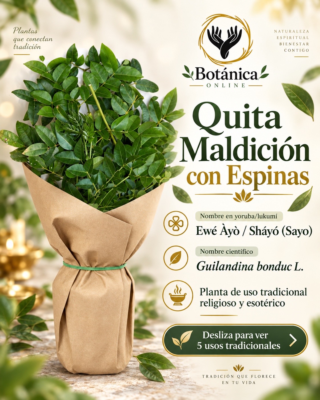 @BotanicaOnline