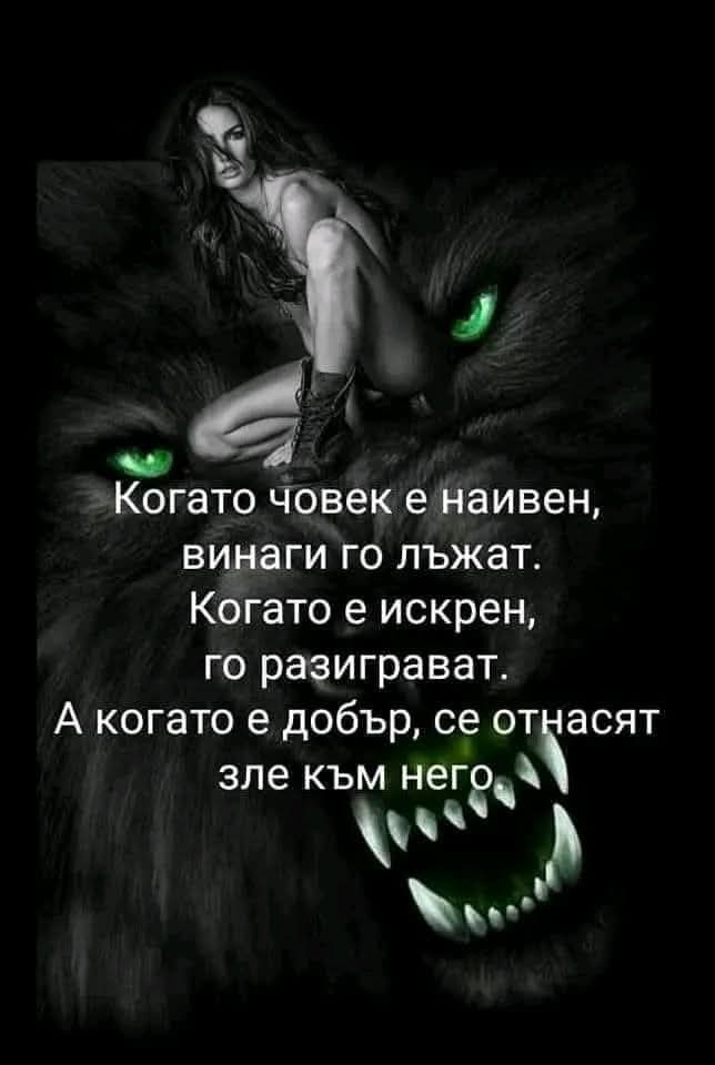 @nedialko angelov