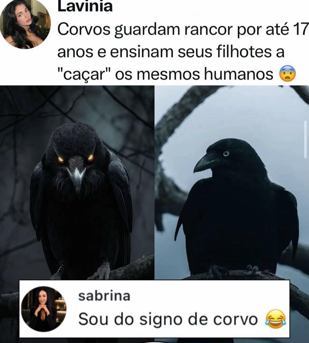 @FOFOCALIZANDO