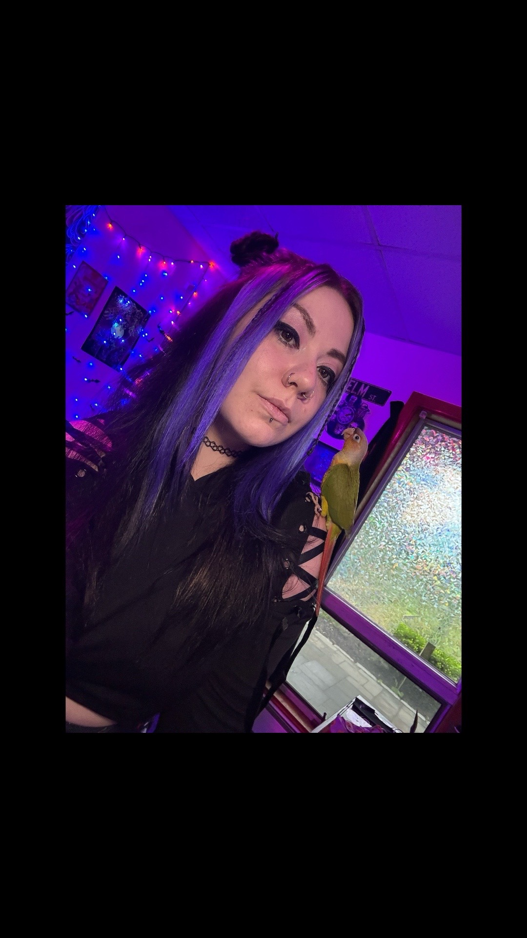 @Kuhboom.ttv🕸️