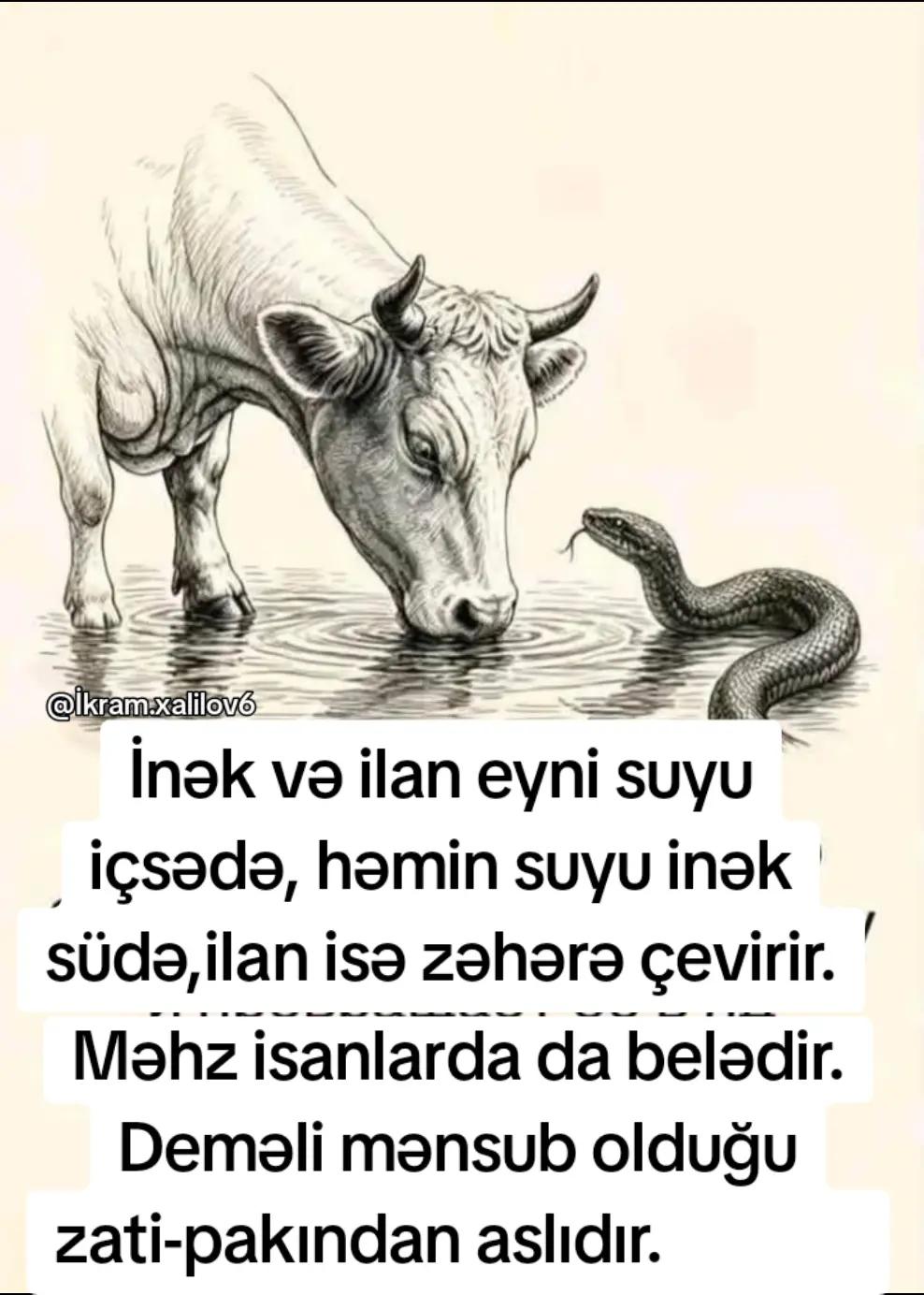 @Ikram Xalilov