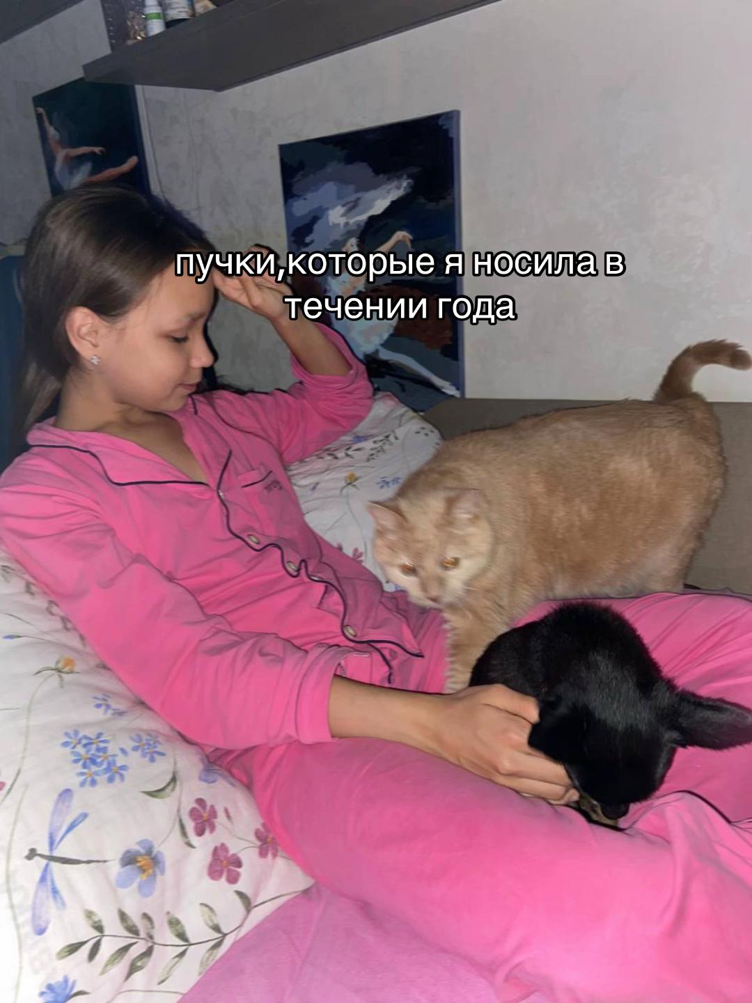 @тараллини🍂