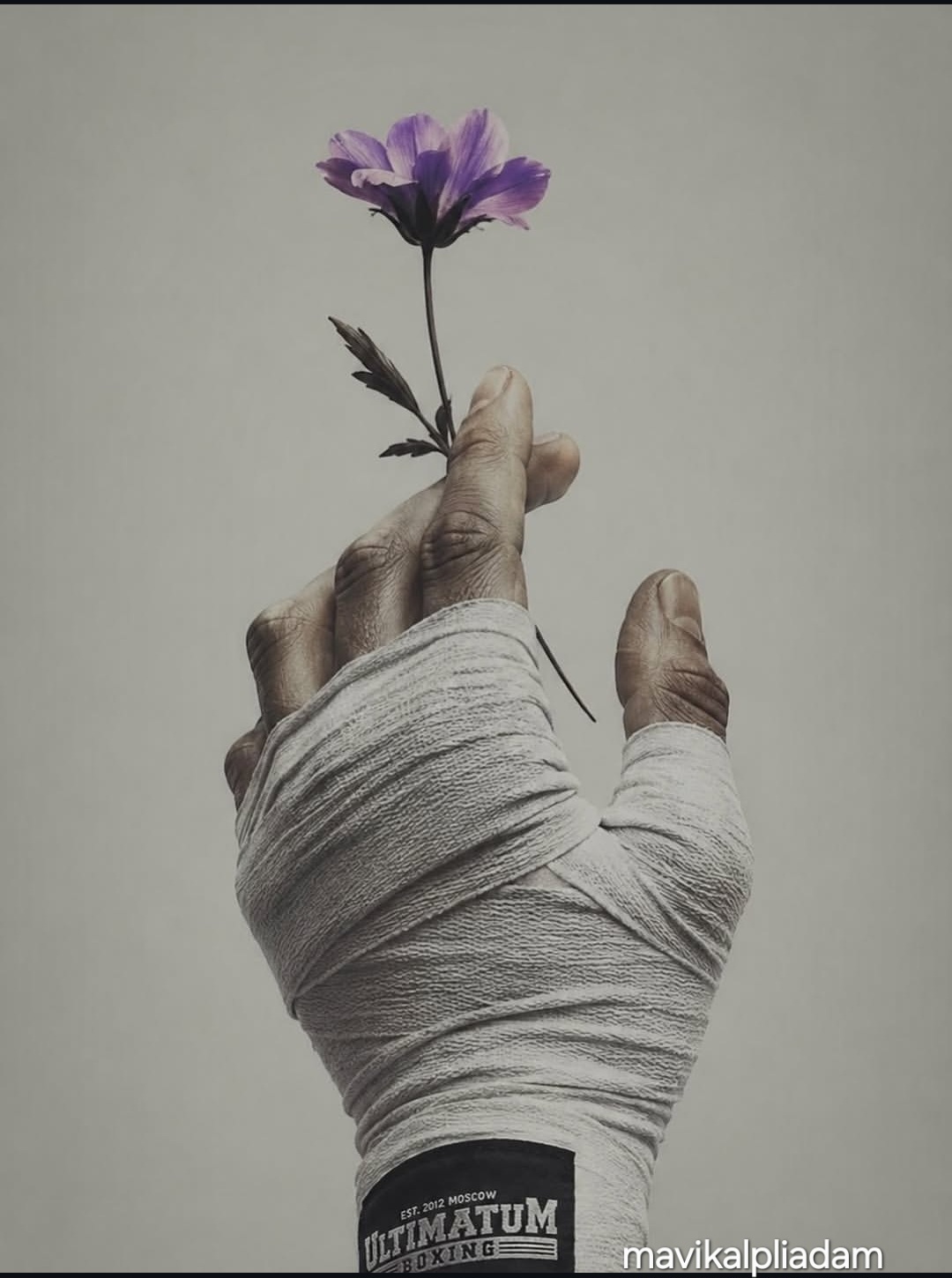 @#𝓜𝓪𝓿𝓲𝓴𝓪𝓵𝓹𝓵𝓲𝓪𝓭𝓪𝓶