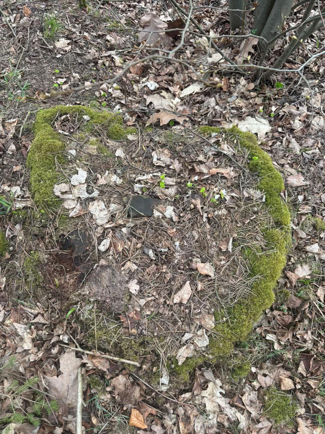 @Odnaleźć siebie