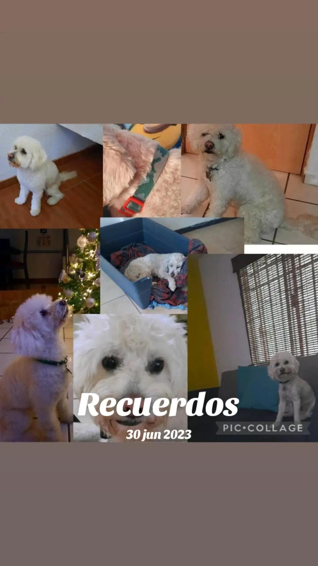 @Judith Campos #JYA😍