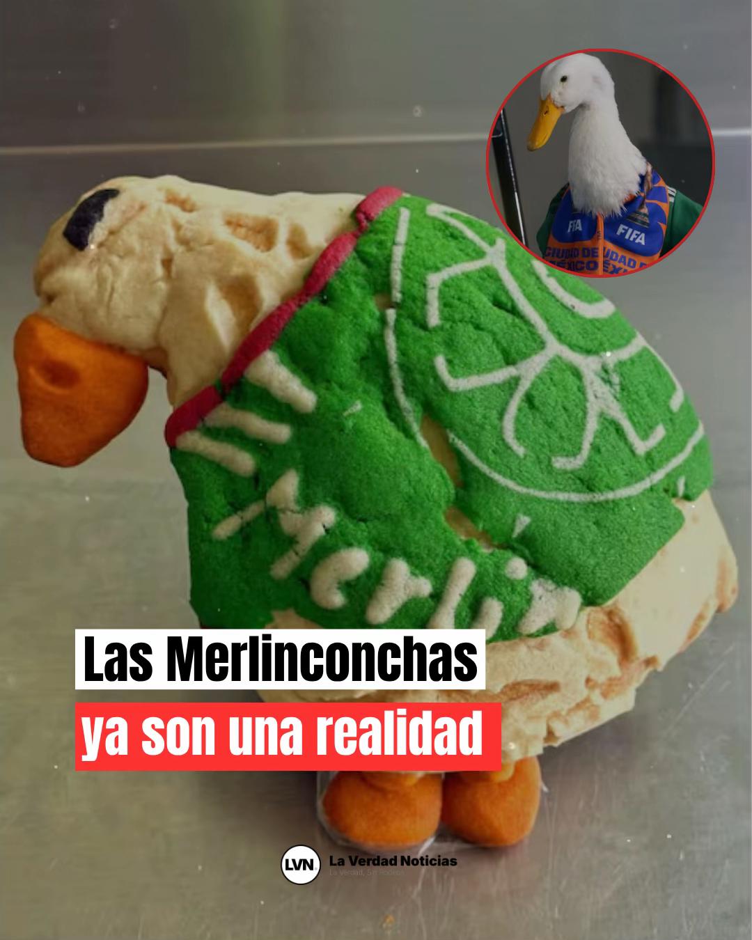 @lvn_noticias