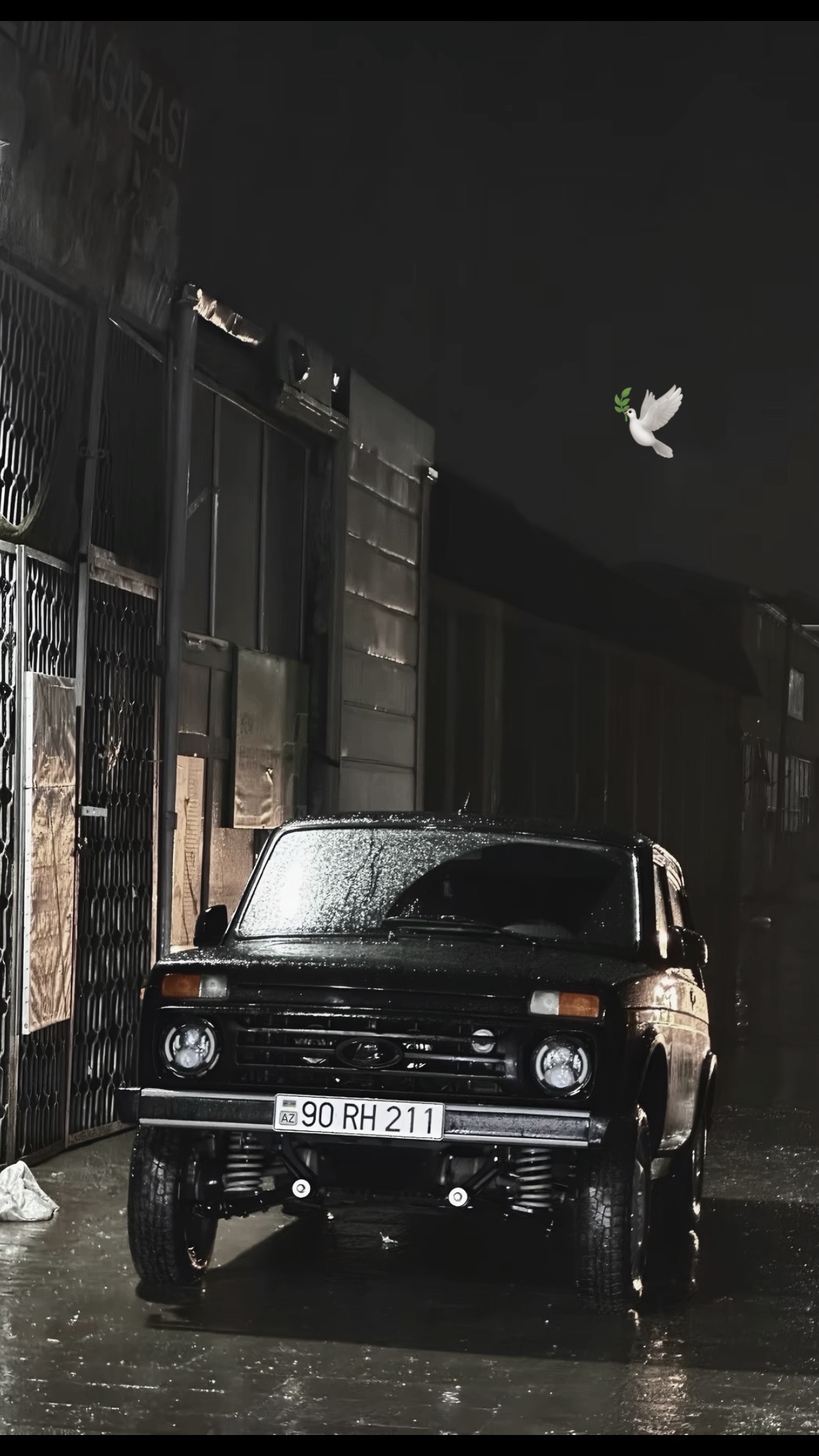 @🔗🕊️