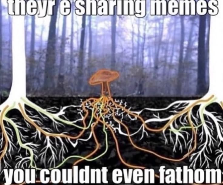 @M