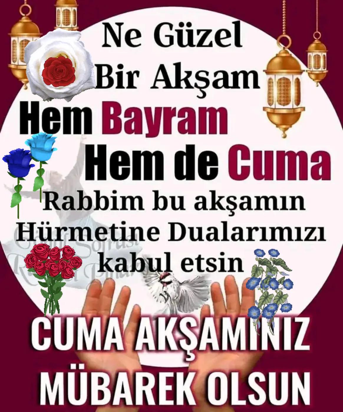 @🇹🇷Yasemin 01 35🇹🇷
