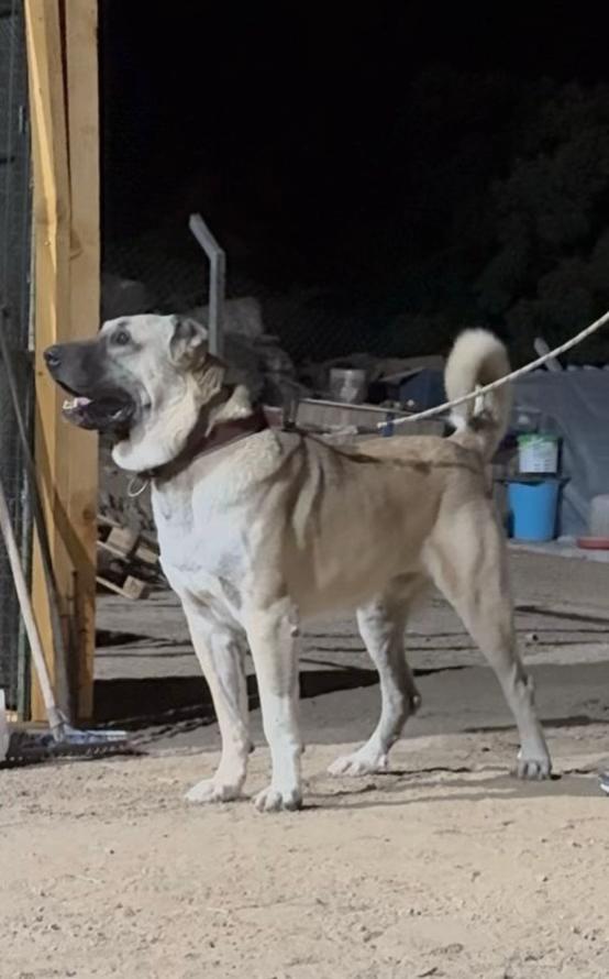 @Sivaslı