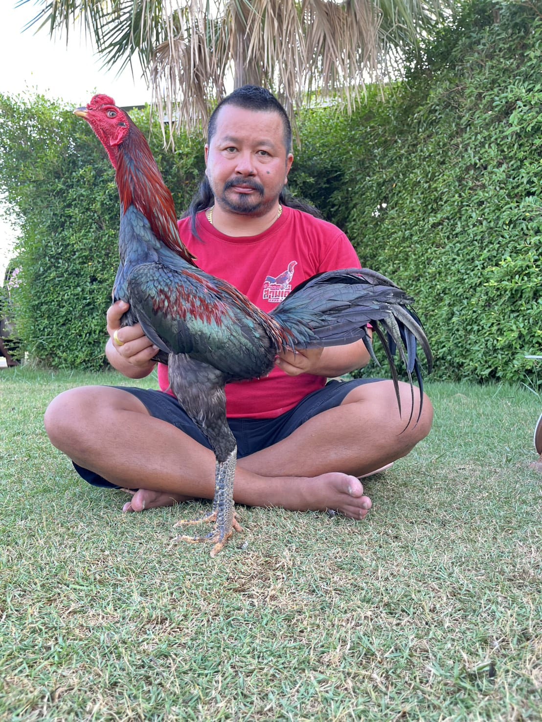 @TUAH FARM ACEH