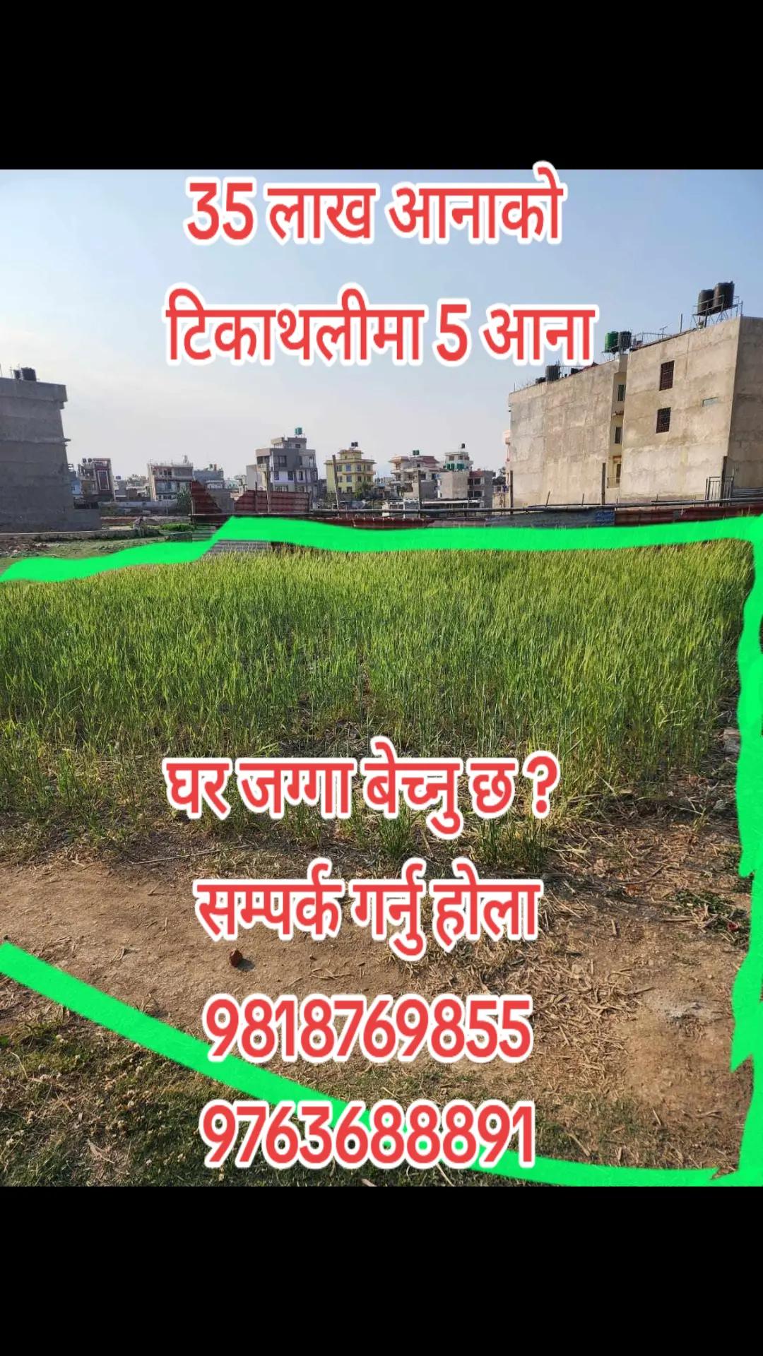 @9818769855