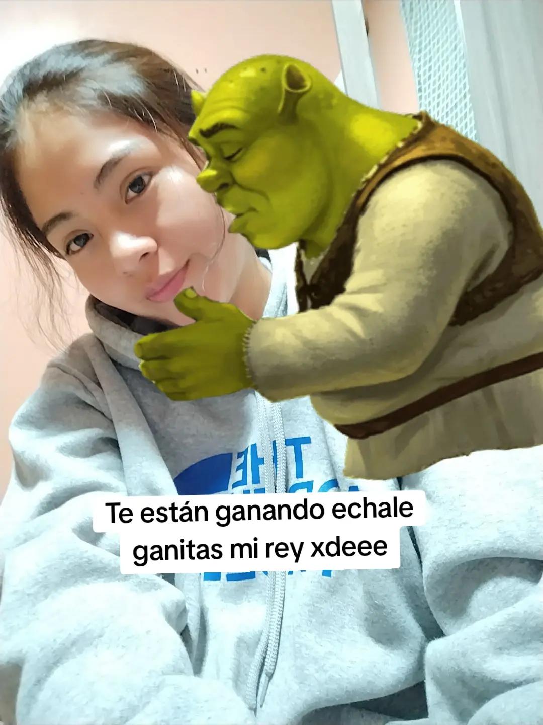 @gigi gigi
