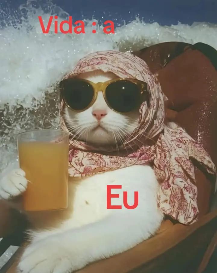 @Garotamaracat
