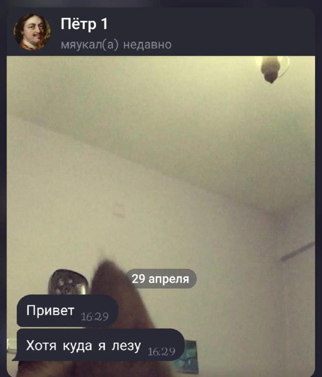@bastet @