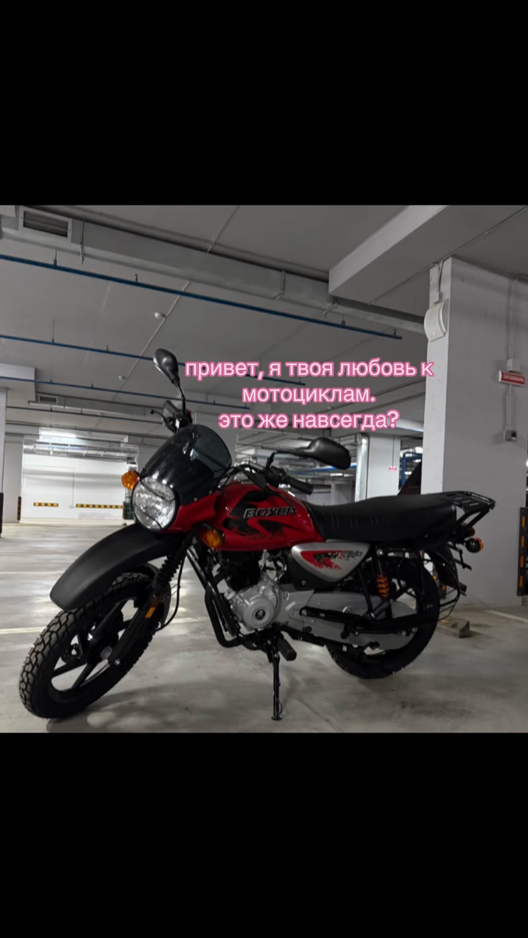 @мяу❤️