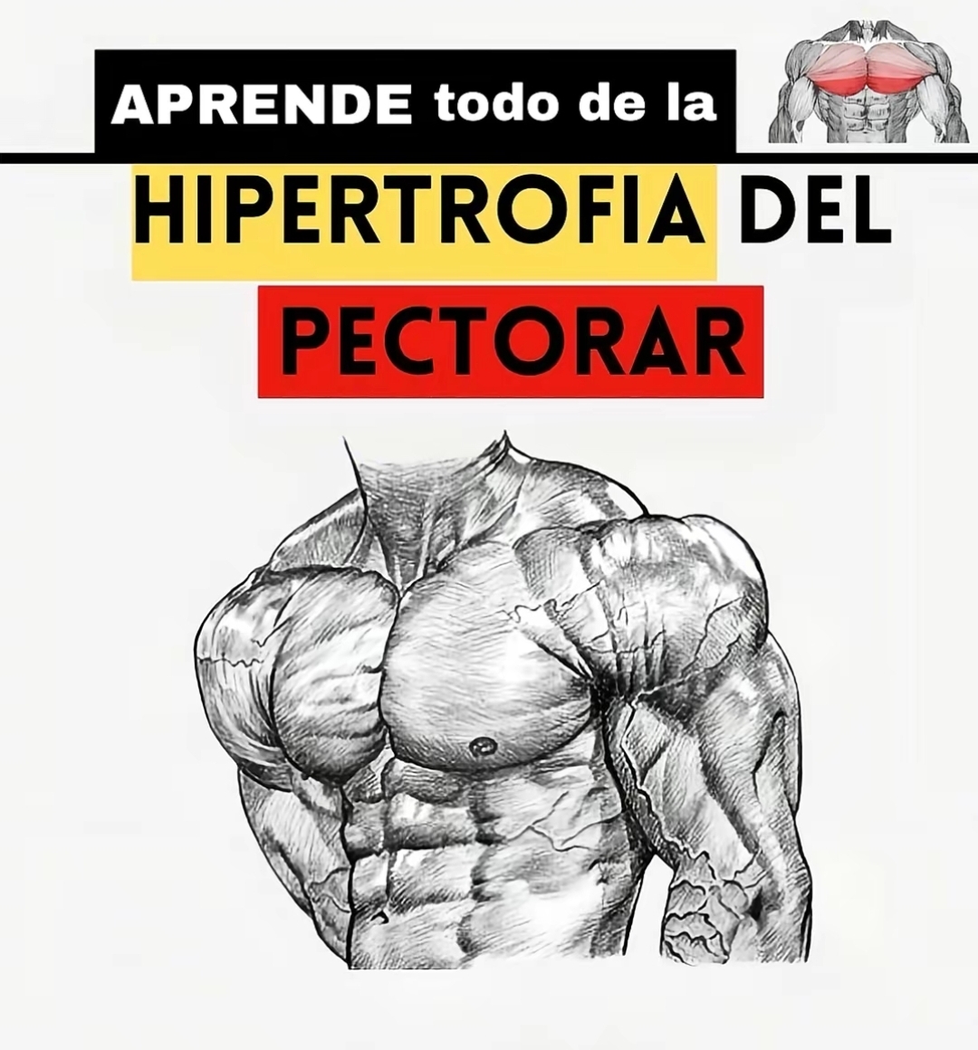 @Maximilianopaez