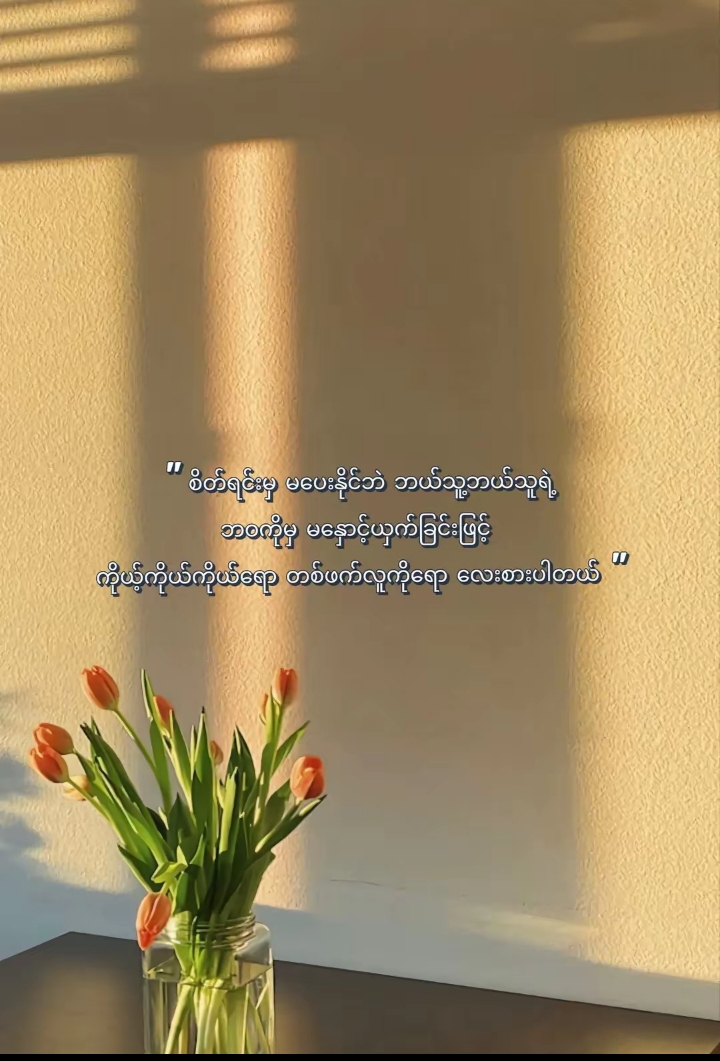 @⭐Daw Aye Moe⭐(ဧရာဝတီတိုင်းသူ)
