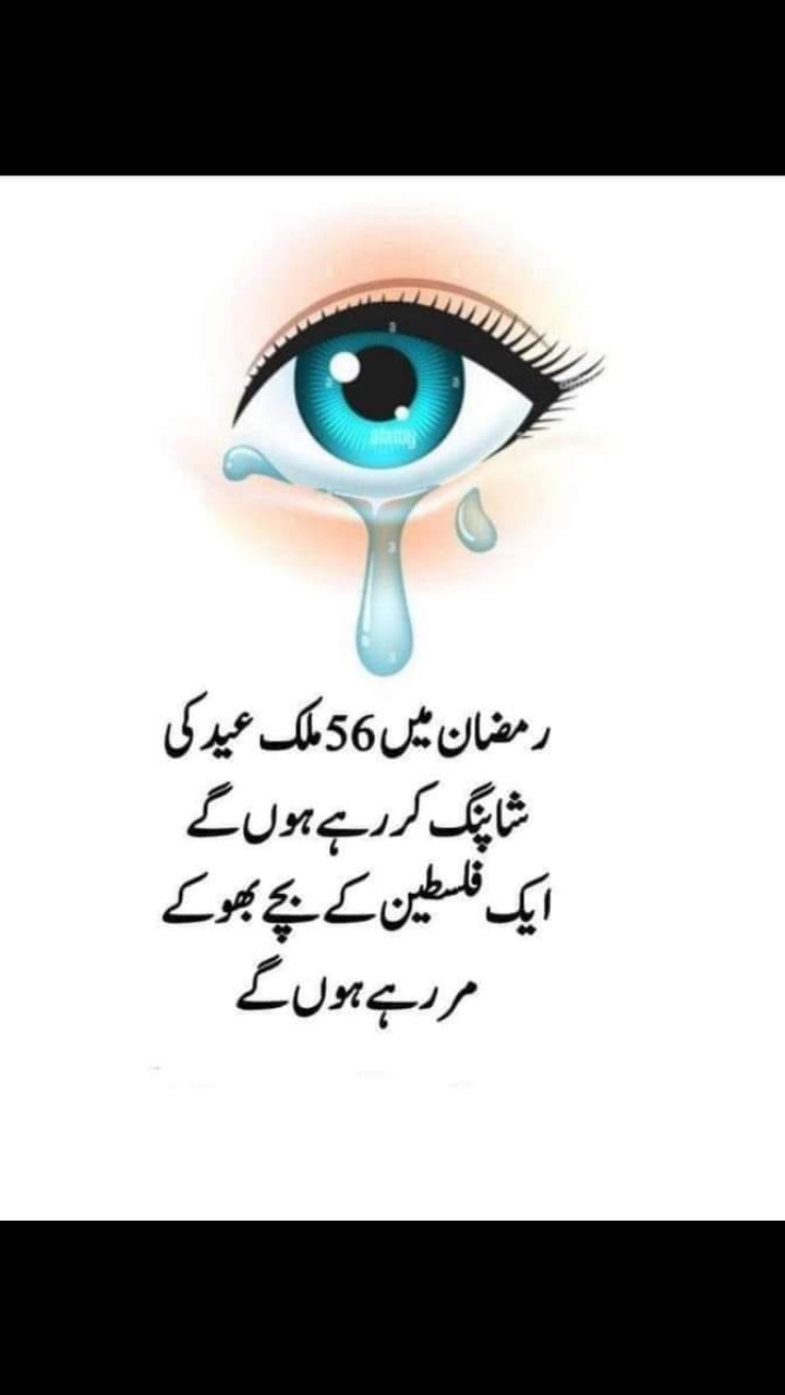 @ملک صاحب   🤣