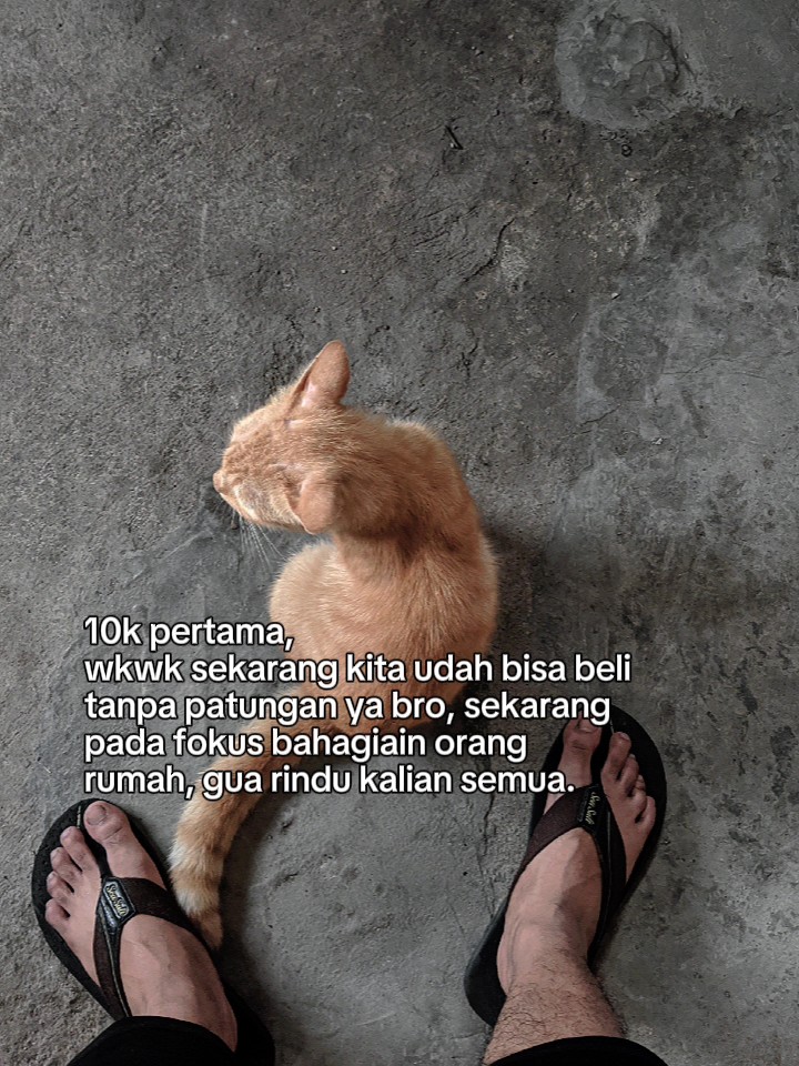 @ARIFAL