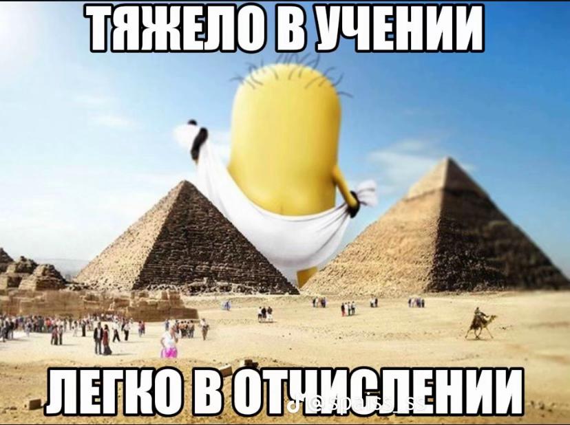 @+62 838 76427502