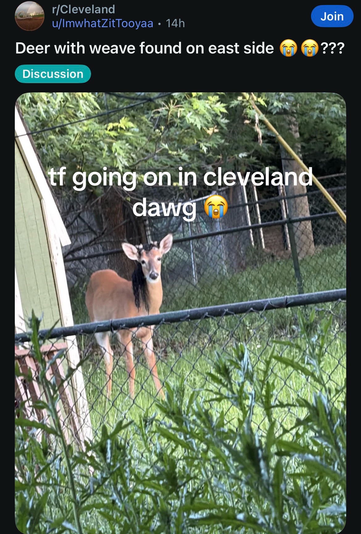 @curienbeyappinfr