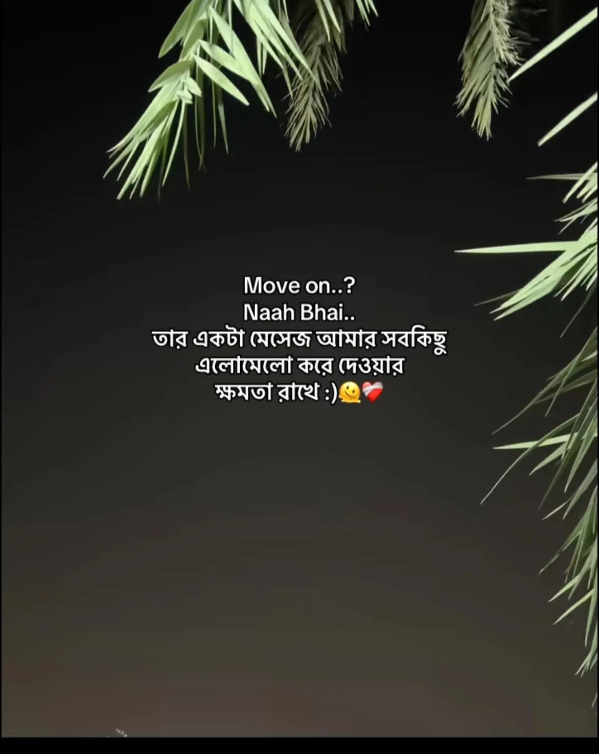 @Ahmed hasan.🕊️✨