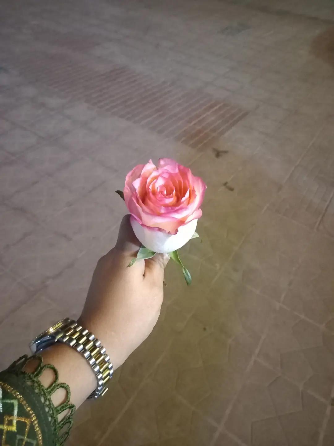 @মায়া 🦋