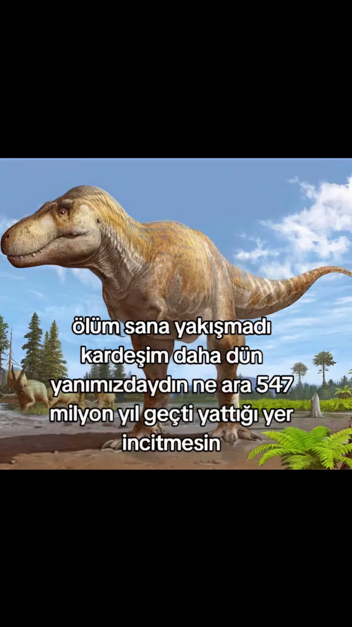@⚠️HesapKapandı⚠️