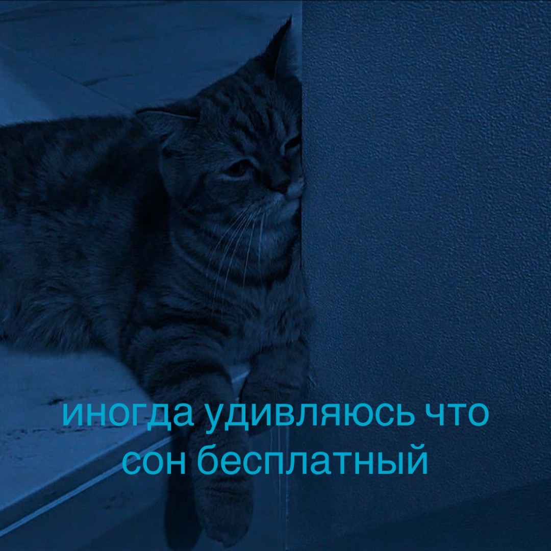 @morfiik