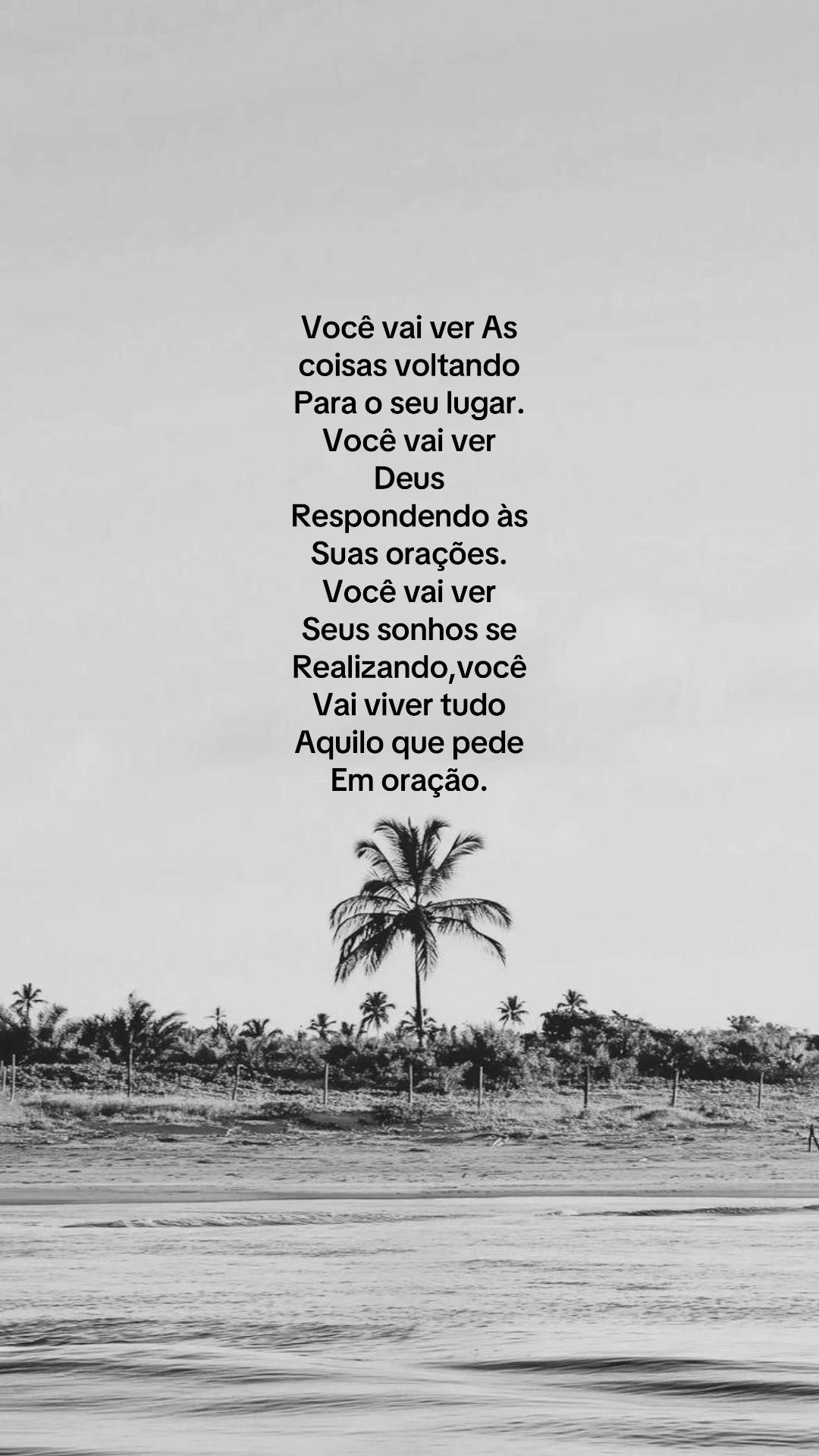 @user894621235