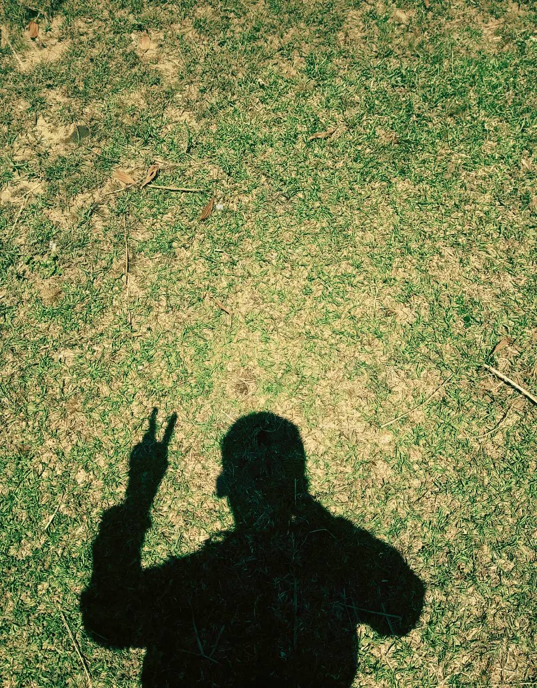 @yogianggara382