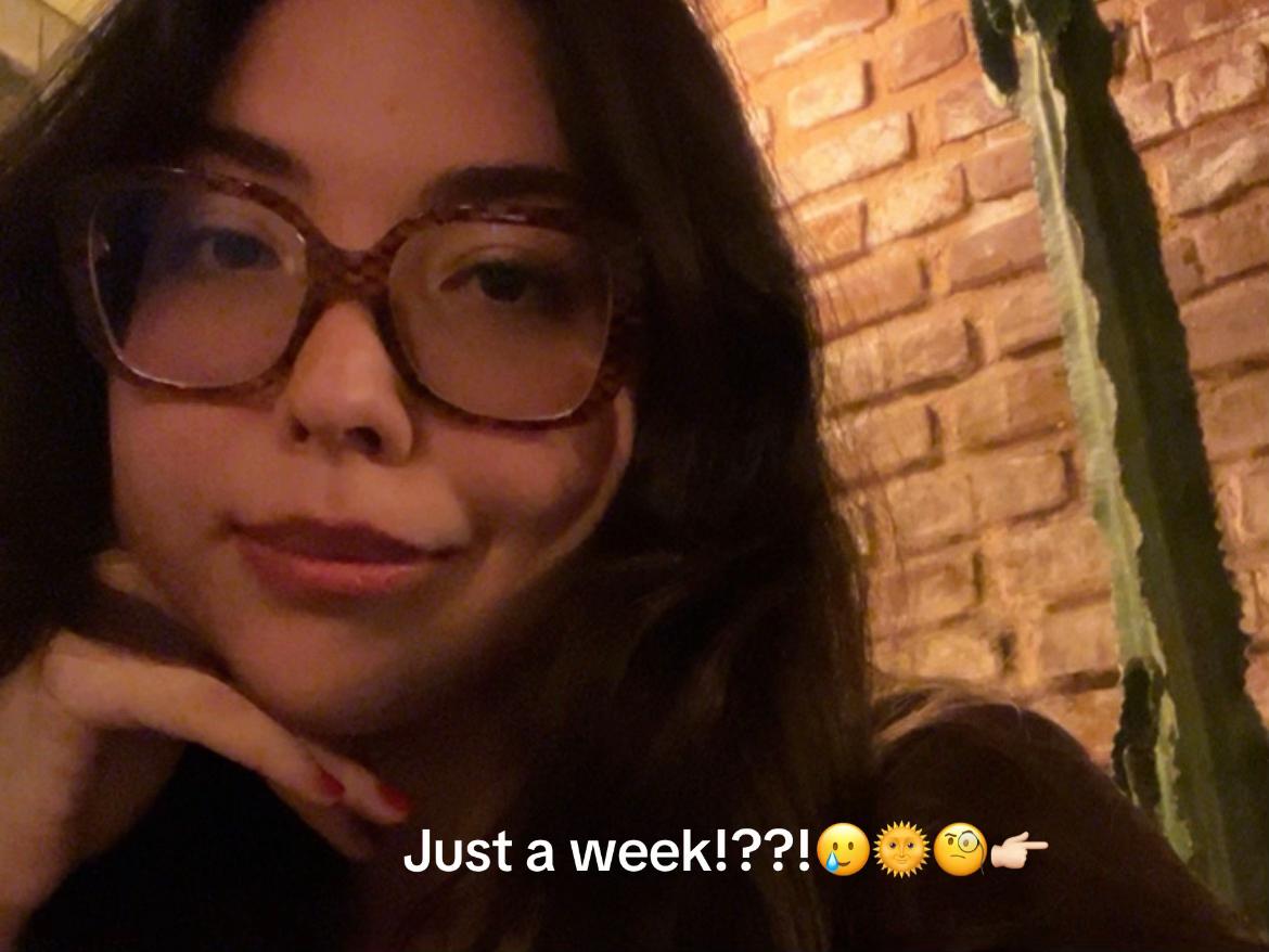 @Ervizm1