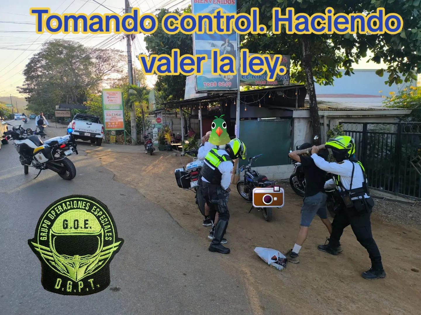 @Tono Moto G20