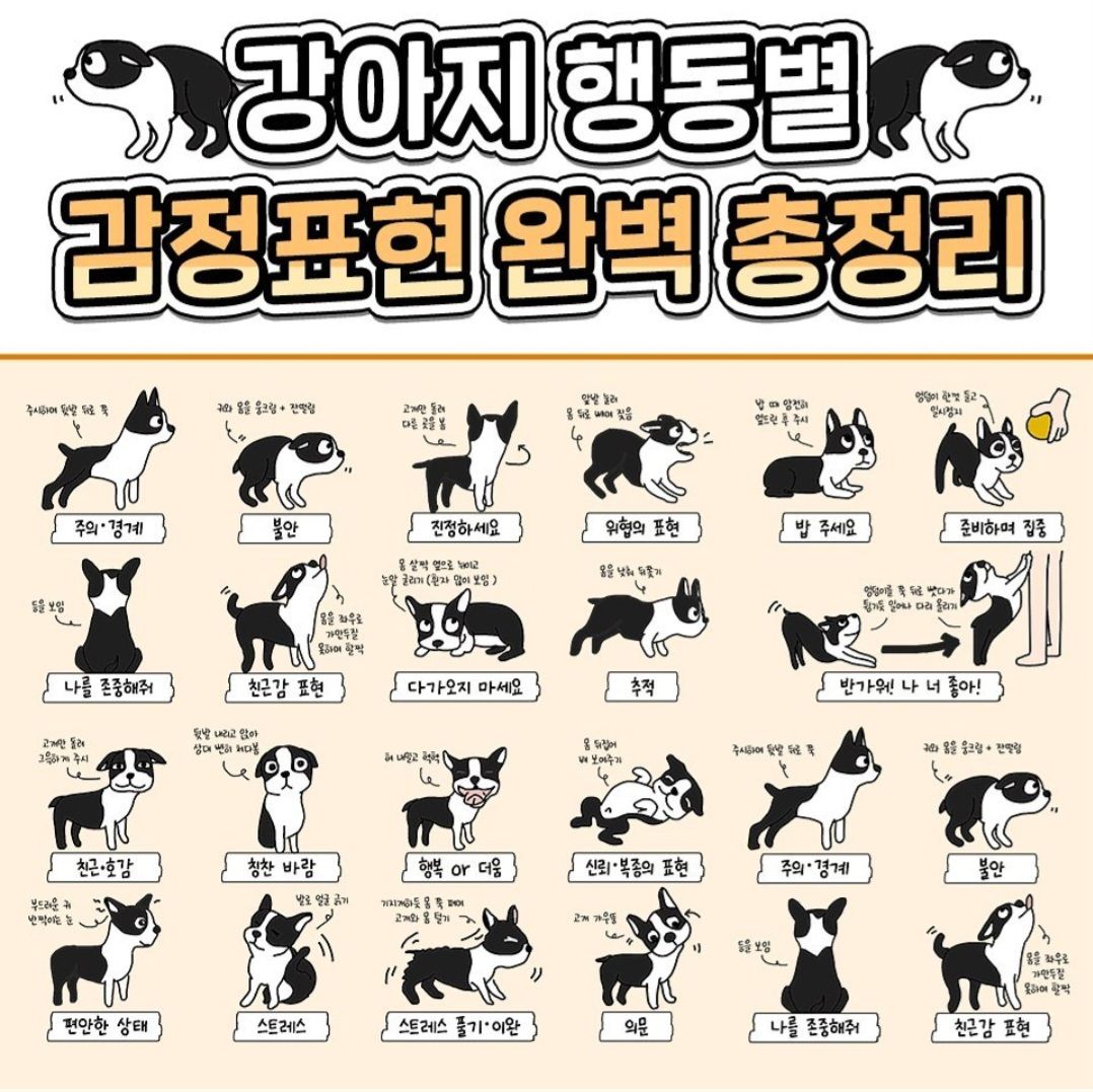 @송이송이쏭쏭이